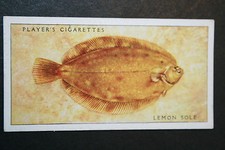 ZITRONENSOHLE Flachfisch Vintage 30er Jahre Vordruckkarte KE25