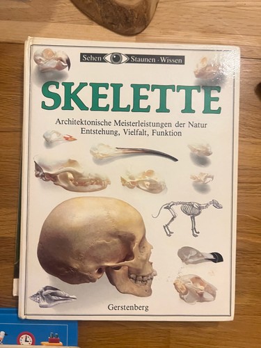 Skelette sehen staunen wissen - skelette,