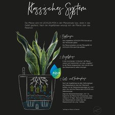 Lechuza 'Rondo 40' taupe ca