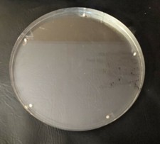 Aqua Video Unterwasser