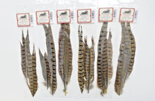 Ringneck pheasant tail - ringneck,
