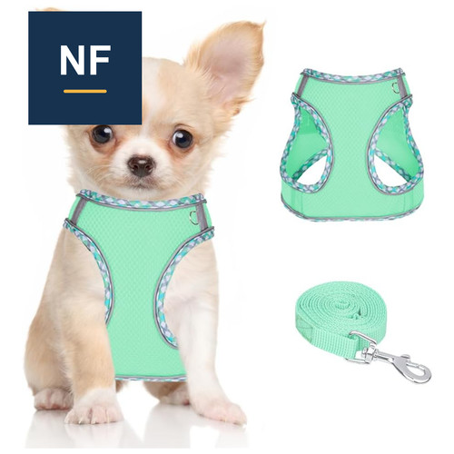 Hundegeschirr gepolstert mit - hundegeschirr,
