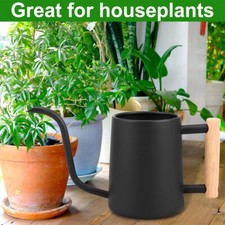 Edelstahl Gießkanne