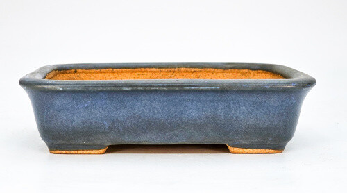 Bonsaischale hattori tokoname - bonsaischale,