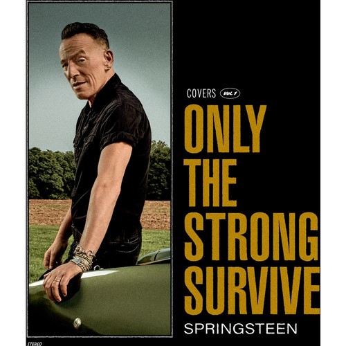 Bruce springsteen only the - bruce,