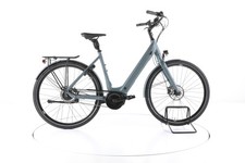 Excelsior Pearl City E-Bike