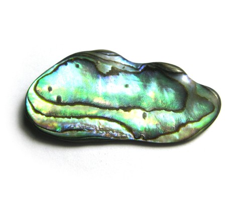 Trommelstein paua muschel - trommelstein, 1