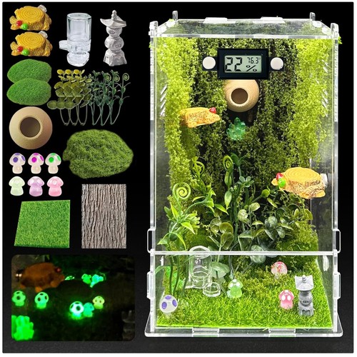 Small reptile terrarium - reptile, house