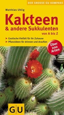 Kakteen und andere sukkulenten - und,