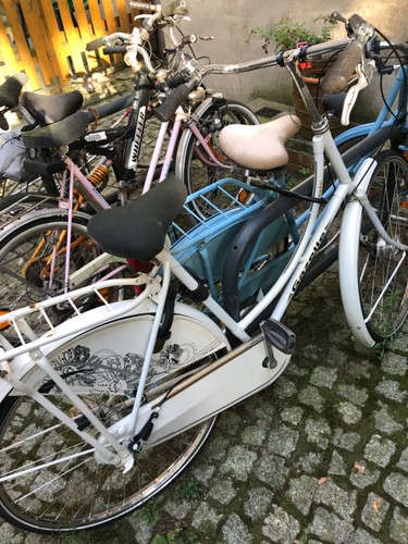 Hollandrad damen gazelle in - hollandrad,