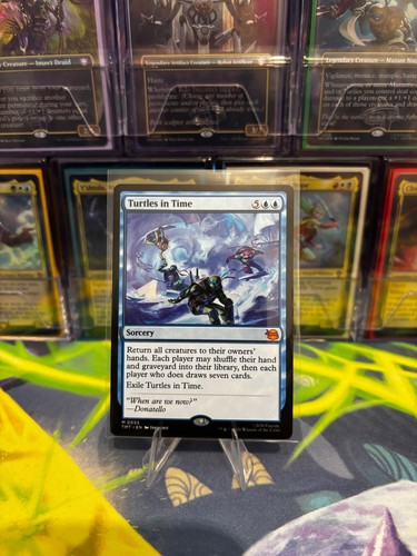 Magic the gathering turtles - the,