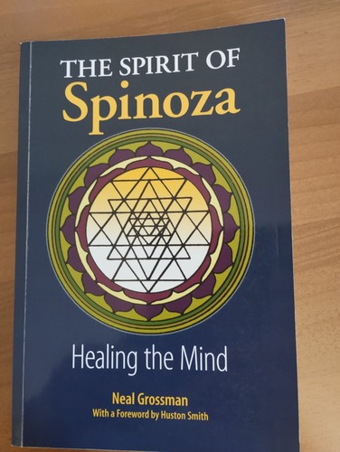 The spirit spinoza - spinoza,