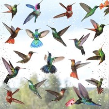 19 Stück Fensteraufkleber