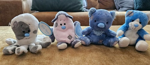 Blue nose friends - my, konvolut