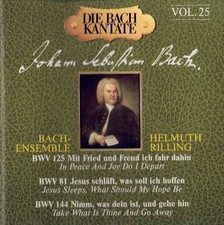 Johann Sebastian Bach Kantaten Rilling Vol.25 (Hänssler Classic, CD)