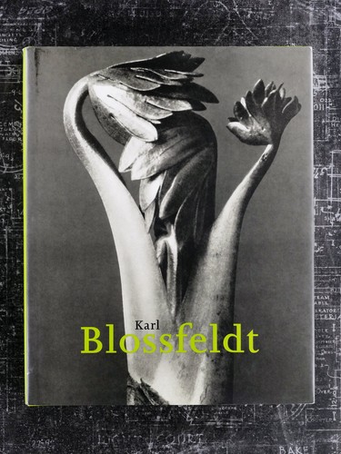 Karl blossfeldt 1865 1932 - blossfeldt, 1865-1932