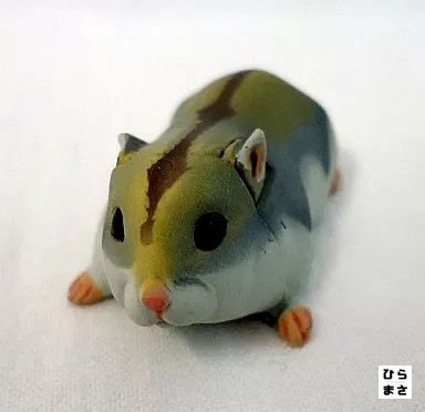 Choco egg pet - egg,