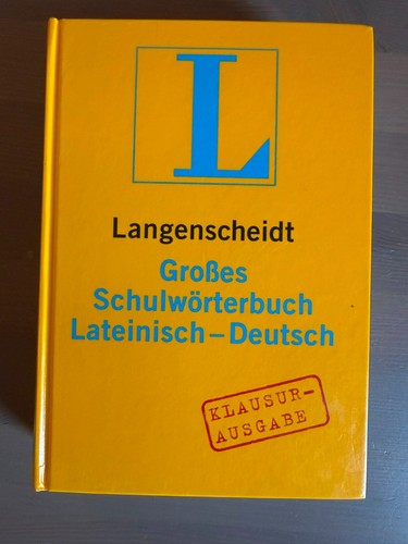 Großes schulwörterbuch - großes,