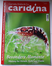Caridina 2/2022 Garnele , Krebs & Co.