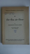 Der Bau der Biene - Professor