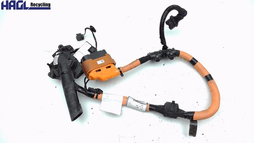 Haupt kabelsatz elektromotor - haupt,
