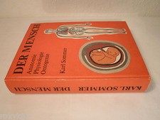 Man Anatomy Physiology