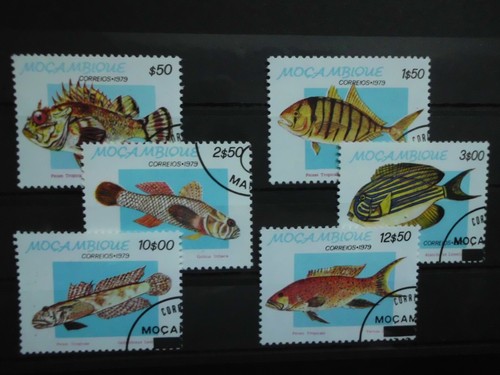Mosambik fische 456 463 - mosambik,, mi.