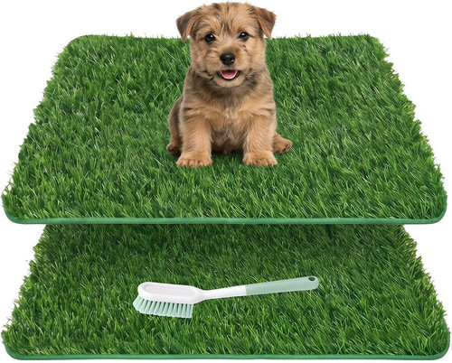Hundetoilette balkon set mit - set,