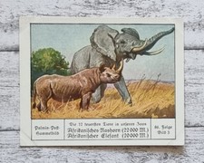 Nashorn Elefant Afrika