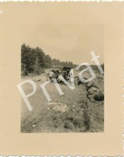 Foto WK II Pferdekutsche nach