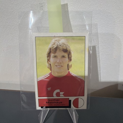 Panini fußball 231 - panini,