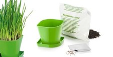 Tescoma Kräuteranbau Set SENSE Schnittlauch Kräutertopf Saatgut Blumentopf 