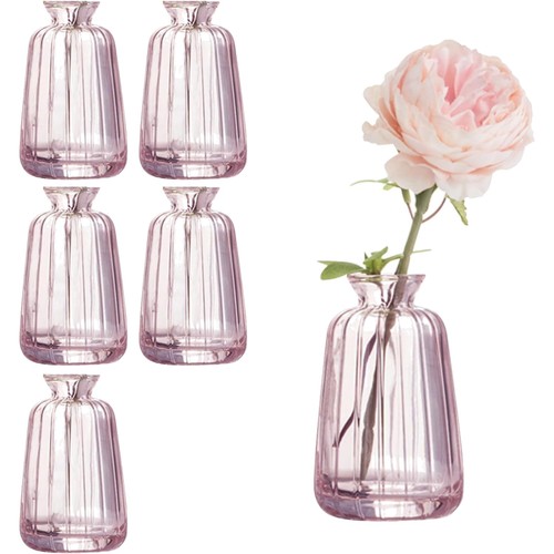 Stück kleine glasvasen set - kleine,