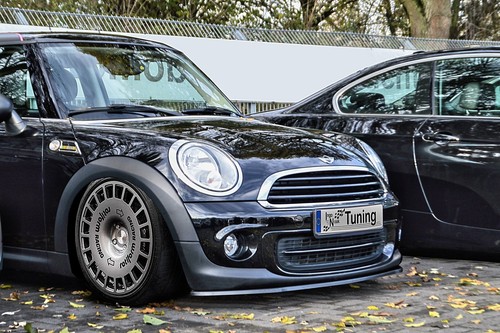 Ingo noak tuning cup - ingo,