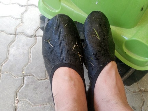 Gymnastikschuhe draußen - gymnastikschuhe,