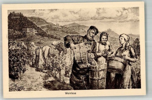 Weinlese strieffler 1924 - weinlese, strieffler,