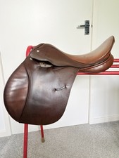 Englischer leder pony - englischer,