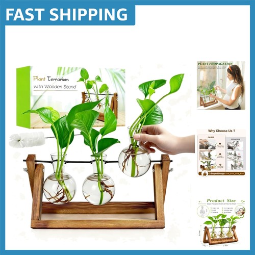 Compact hydroponic plant - compact,