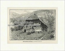 Schwarzwälder Bauernhaus Walmdach Firstsäule Heidenhaus Bauern Holzstich E 19918