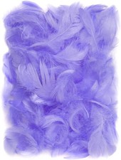 150 Stück Violett Deko Federn