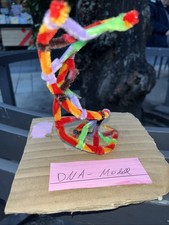 DNA Kunstmodell 1/1 Kunst