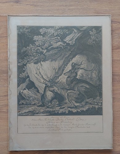 Johann elias ridinger - johann,