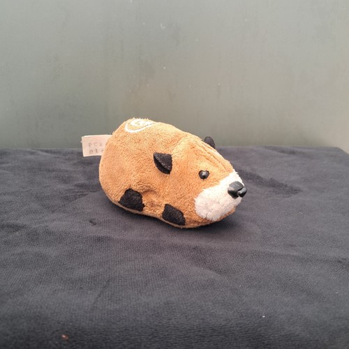 Kung zhu pets - kung, azer