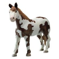 Safari 2341-29 - Pferd Pinto