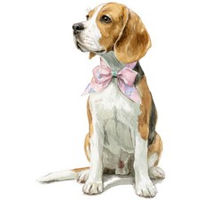 2x Sticker Beagle Car Sticker