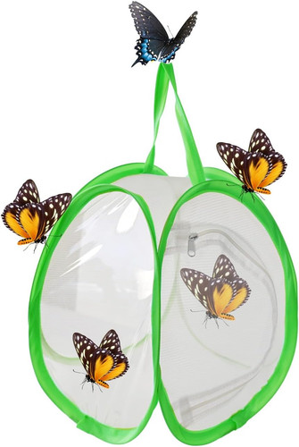 Schmetterlinge züchten - schmetterlinge,