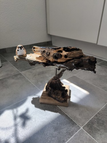 Treibholz schwemmholz wurzel - schwemmholz,