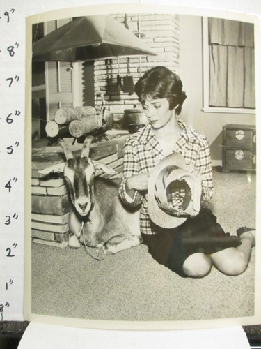 Cbs show photo 1960s angel - cbs,