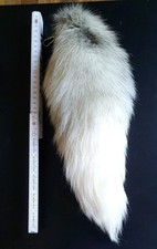 Blaufuchs Schweif,Schlüssel -