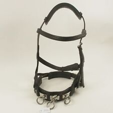 robuster Leder-Kappzaum schwarz, VB/WB, super Zustand